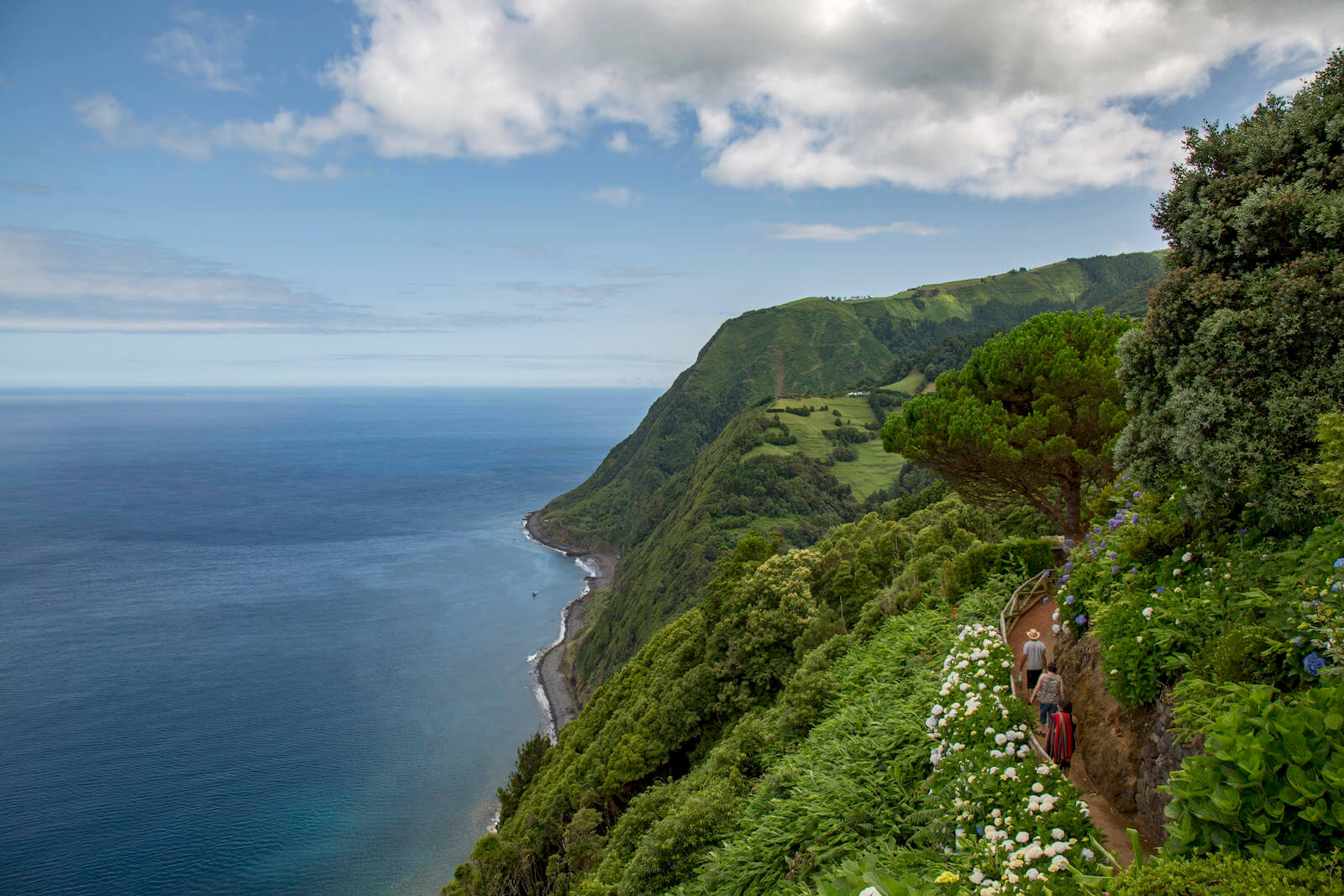 Azores landscape